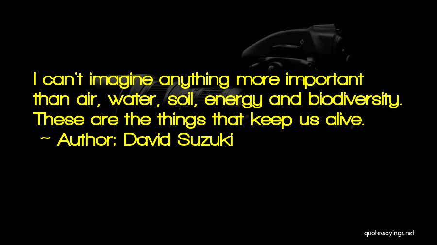David Suzuki Quotes: I Can't Imagine Anything More Important Than Air, Water, Soil, Energy And Biodiversity. These Are The Things That Keep Us