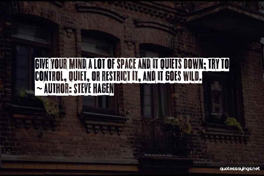 Steve Hagen Quotes: Give Your Mind A Lot Of Space And It Quiets Down; Try To Control, Quiet, Or Restrict It, And It