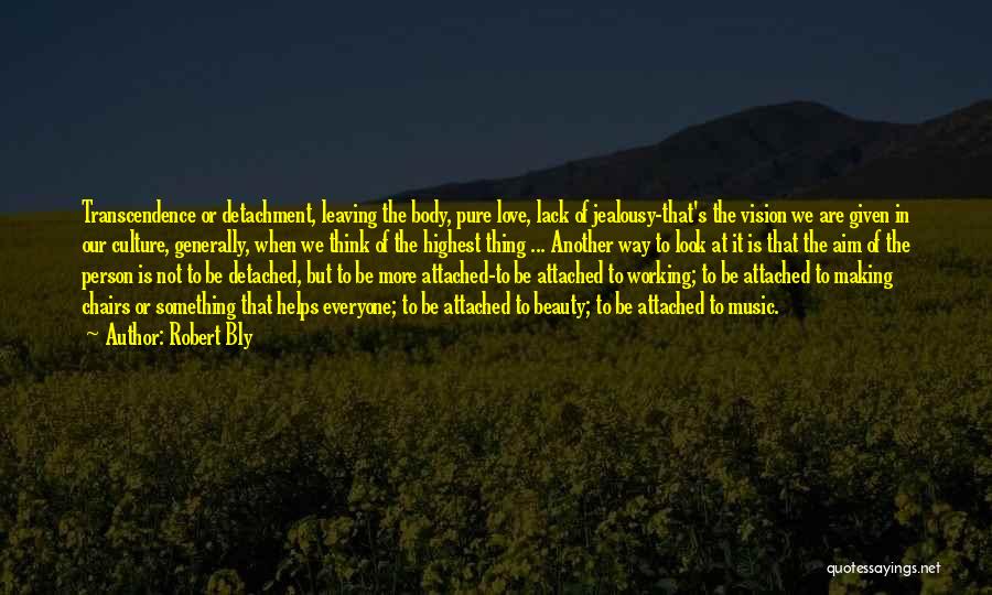 Robert Bly Quotes: Transcendence Or Detachment, Leaving The Body, Pure Love, Lack Of Jealousy-that's The Vision We Are Given In Our Culture, Generally,