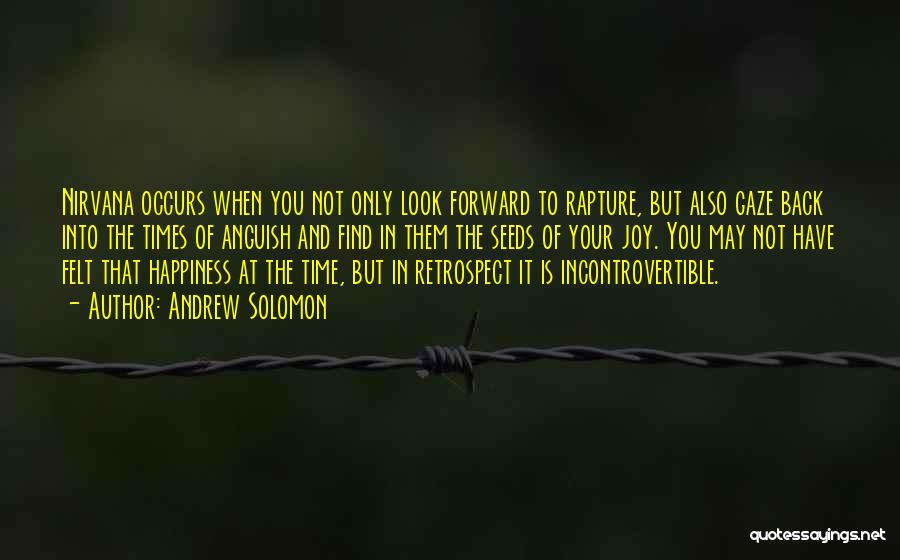 Andrew Solomon Quotes: Nirvana Occurs When You Not Only Look Forward To Rapture, But Also Gaze Back Into The Times Of Anguish And