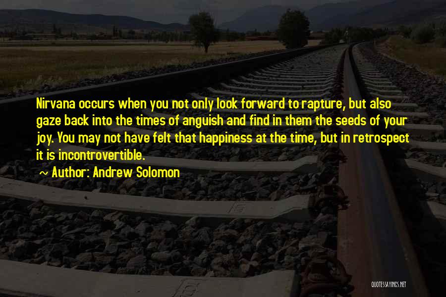 Andrew Solomon Quotes: Nirvana Occurs When You Not Only Look Forward To Rapture, But Also Gaze Back Into The Times Of Anguish And