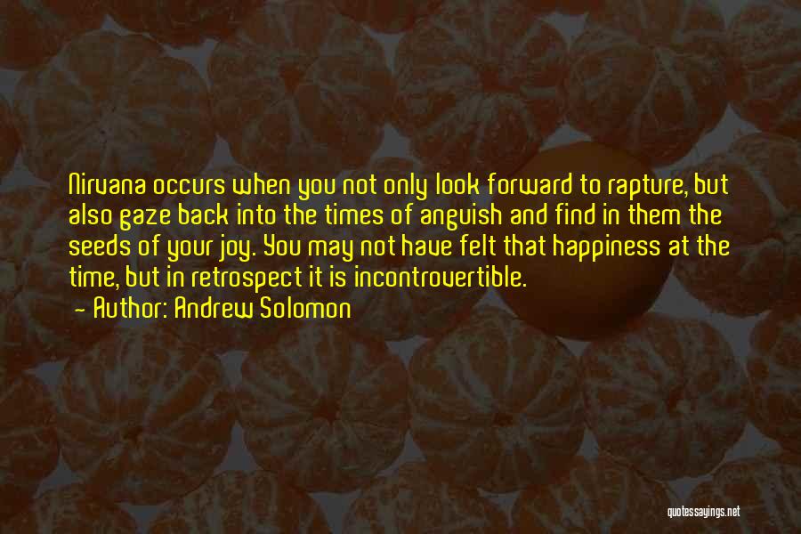 Andrew Solomon Quotes: Nirvana Occurs When You Not Only Look Forward To Rapture, But Also Gaze Back Into The Times Of Anguish And