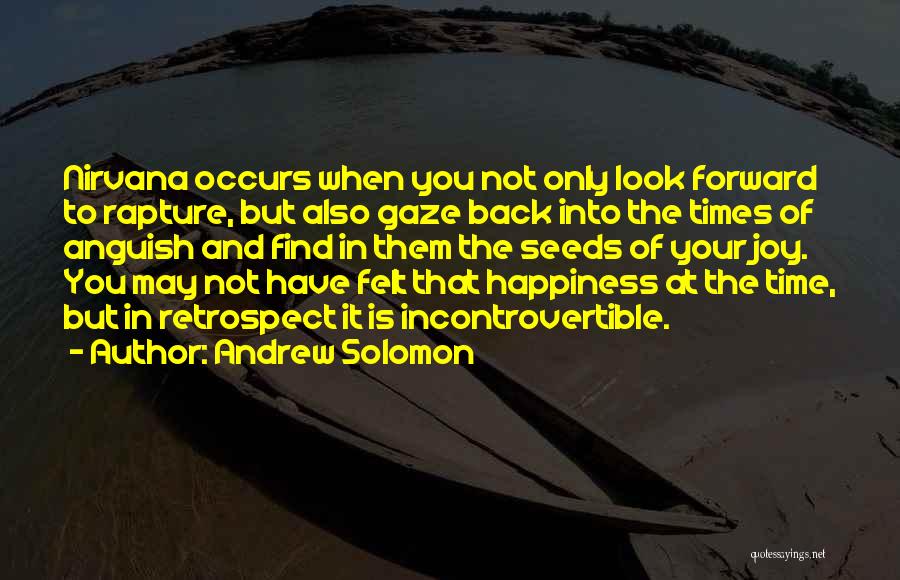 Andrew Solomon Quotes: Nirvana Occurs When You Not Only Look Forward To Rapture, But Also Gaze Back Into The Times Of Anguish And