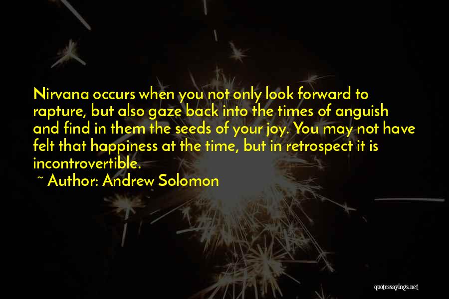 Andrew Solomon Quotes: Nirvana Occurs When You Not Only Look Forward To Rapture, But Also Gaze Back Into The Times Of Anguish And