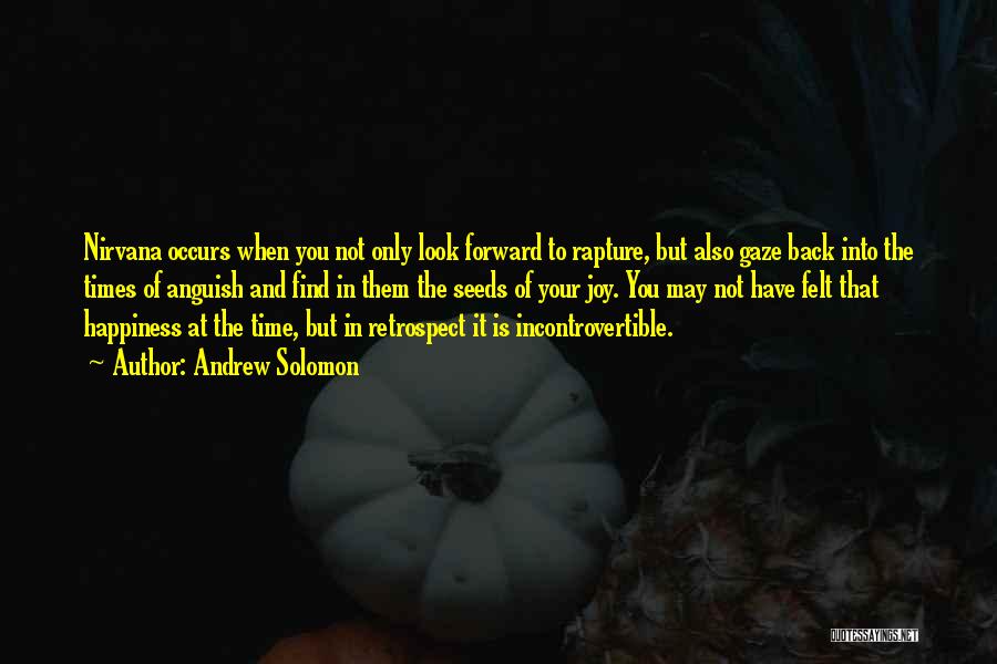 Andrew Solomon Quotes: Nirvana Occurs When You Not Only Look Forward To Rapture, But Also Gaze Back Into The Times Of Anguish And