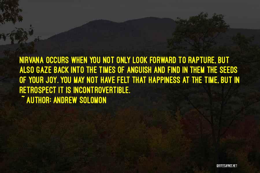 Andrew Solomon Quotes: Nirvana Occurs When You Not Only Look Forward To Rapture, But Also Gaze Back Into The Times Of Anguish And