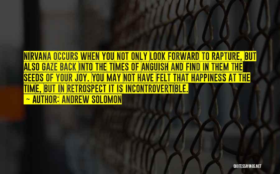 Andrew Solomon Quotes: Nirvana Occurs When You Not Only Look Forward To Rapture, But Also Gaze Back Into The Times Of Anguish And