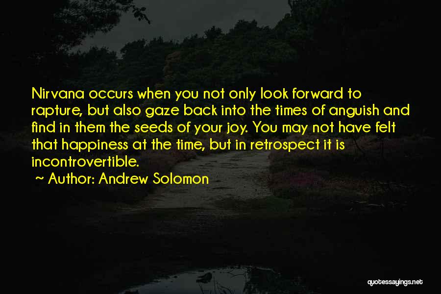 Andrew Solomon Quotes: Nirvana Occurs When You Not Only Look Forward To Rapture, But Also Gaze Back Into The Times Of Anguish And