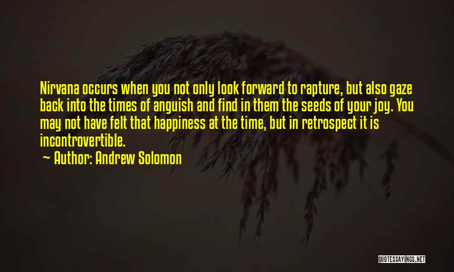 Andrew Solomon Quotes: Nirvana Occurs When You Not Only Look Forward To Rapture, But Also Gaze Back Into The Times Of Anguish And