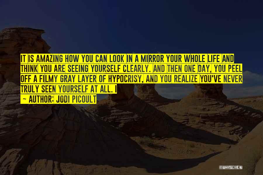 Jodi Picoult Quotes: It Is Amazing How You Can Look In A Mirror Your Whole Life And Think You Are Seeing Yourself Clearly.