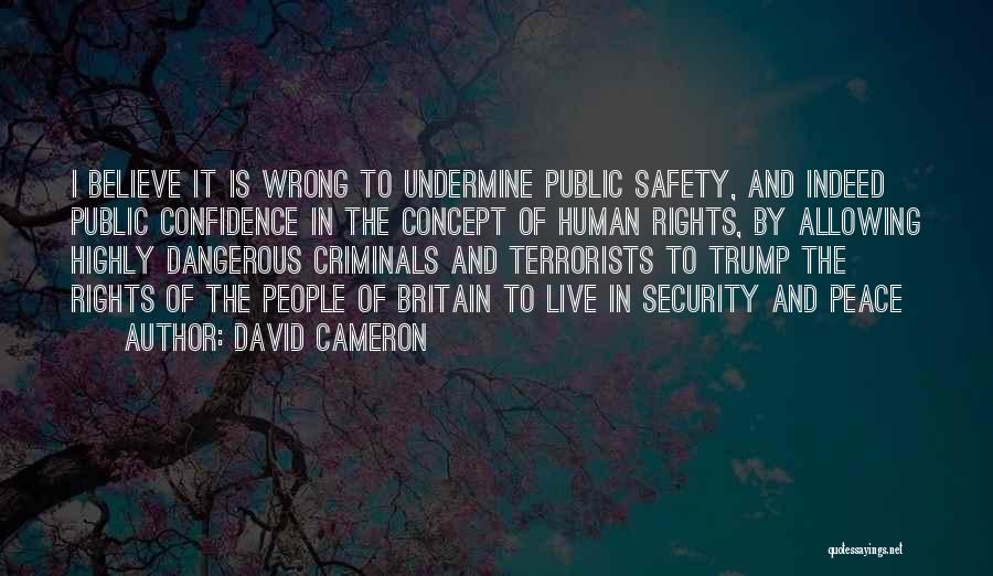 David Cameron Quotes: I Believe It Is Wrong To Undermine Public Safety, And Indeed Public Confidence In The Concept Of Human Rights, By