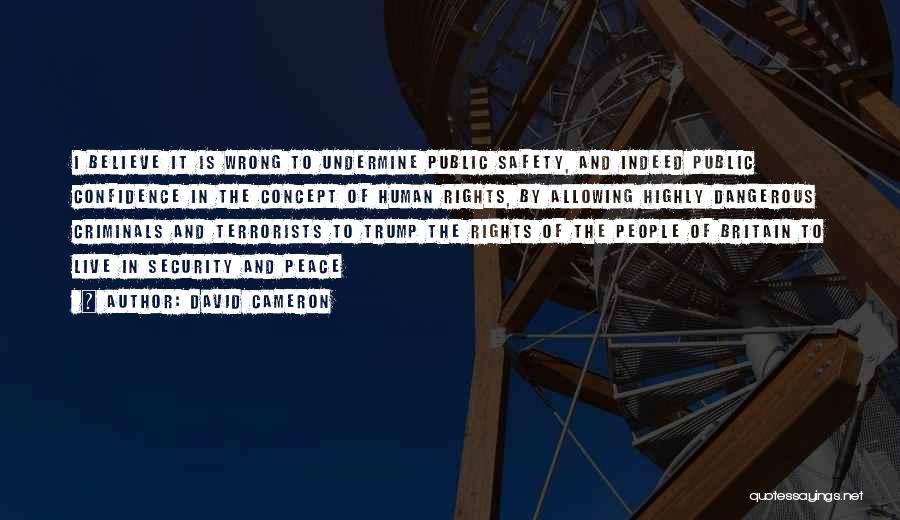 David Cameron Quotes: I Believe It Is Wrong To Undermine Public Safety, And Indeed Public Confidence In The Concept Of Human Rights, By