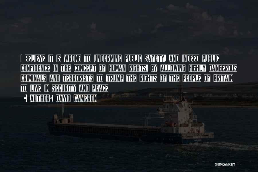David Cameron Quotes: I Believe It Is Wrong To Undermine Public Safety, And Indeed Public Confidence In The Concept Of Human Rights, By
