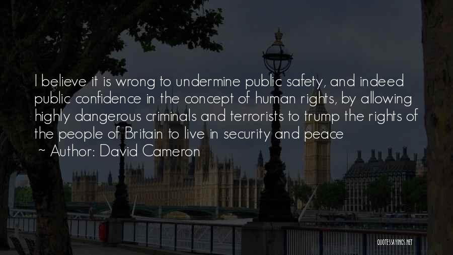 David Cameron Quotes: I Believe It Is Wrong To Undermine Public Safety, And Indeed Public Confidence In The Concept Of Human Rights, By