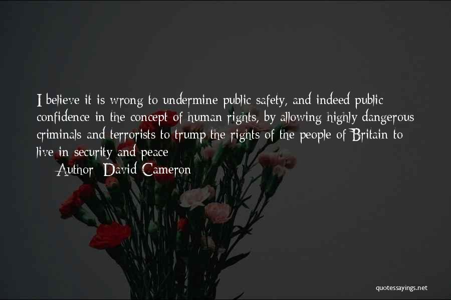 David Cameron Quotes: I Believe It Is Wrong To Undermine Public Safety, And Indeed Public Confidence In The Concept Of Human Rights, By