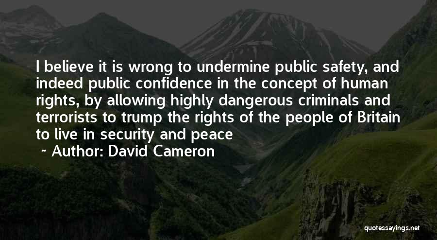 David Cameron Quotes: I Believe It Is Wrong To Undermine Public Safety, And Indeed Public Confidence In The Concept Of Human Rights, By