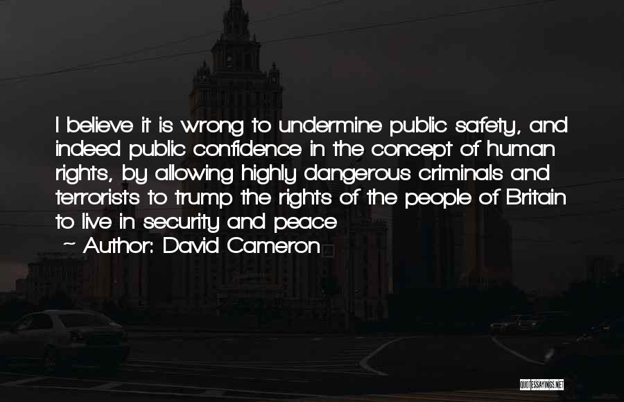David Cameron Quotes: I Believe It Is Wrong To Undermine Public Safety, And Indeed Public Confidence In The Concept Of Human Rights, By