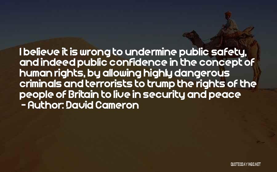 David Cameron Quotes: I Believe It Is Wrong To Undermine Public Safety, And Indeed Public Confidence In The Concept Of Human Rights, By