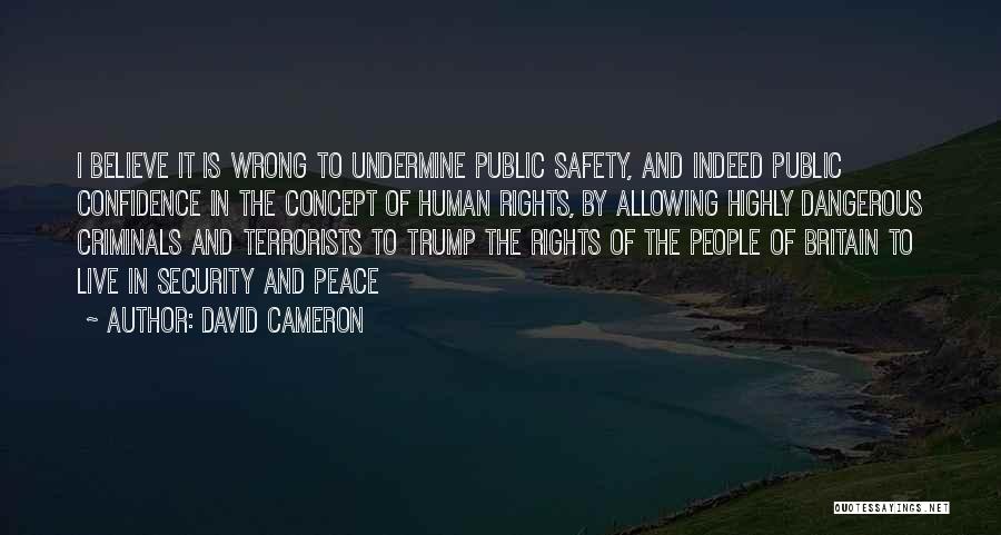 David Cameron Quotes: I Believe It Is Wrong To Undermine Public Safety, And Indeed Public Confidence In The Concept Of Human Rights, By