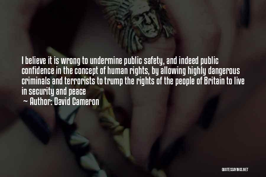 David Cameron Quotes: I Believe It Is Wrong To Undermine Public Safety, And Indeed Public Confidence In The Concept Of Human Rights, By