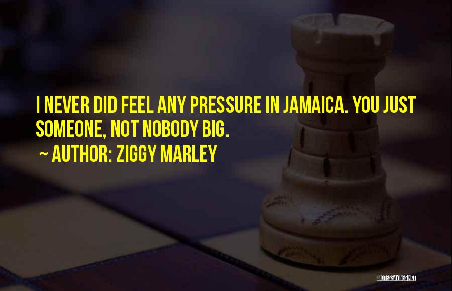 Ziggy Marley Quotes: I Never Did Feel Any Pressure In Jamaica. You Just Someone, Not Nobody Big.