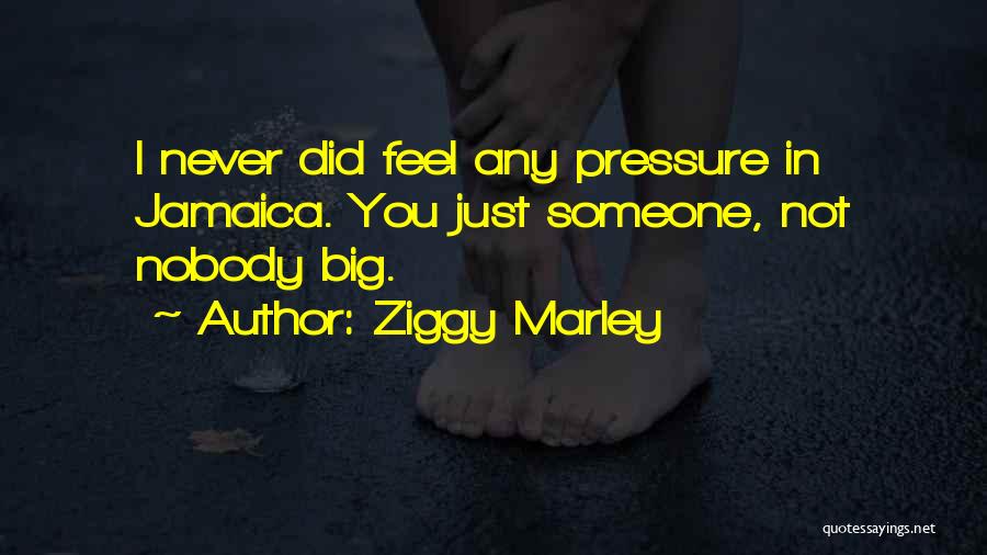 Ziggy Marley Quotes: I Never Did Feel Any Pressure In Jamaica. You Just Someone, Not Nobody Big.