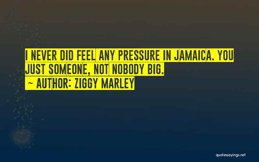 Ziggy Marley Quotes: I Never Did Feel Any Pressure In Jamaica. You Just Someone, Not Nobody Big.