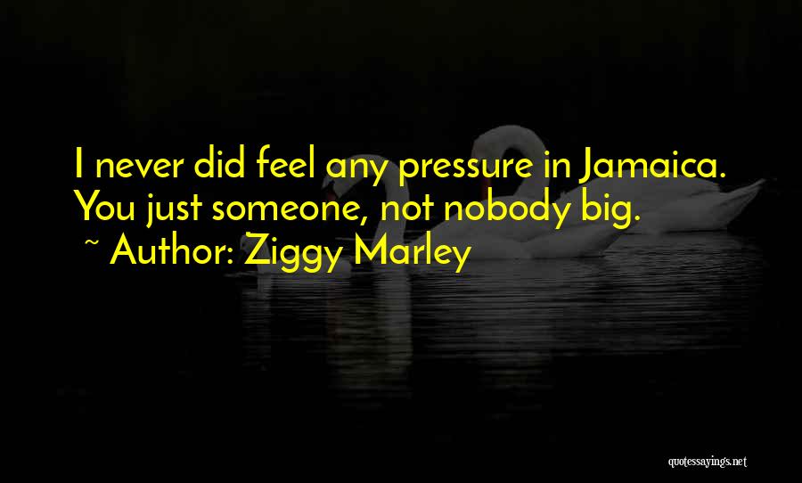 Ziggy Marley Quotes: I Never Did Feel Any Pressure In Jamaica. You Just Someone, Not Nobody Big.