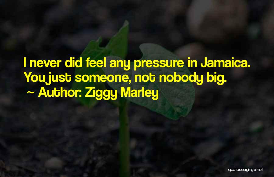 Ziggy Marley Quotes: I Never Did Feel Any Pressure In Jamaica. You Just Someone, Not Nobody Big.