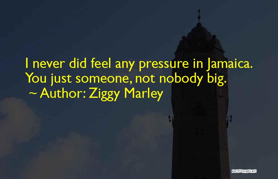 Ziggy Marley Quotes: I Never Did Feel Any Pressure In Jamaica. You Just Someone, Not Nobody Big.