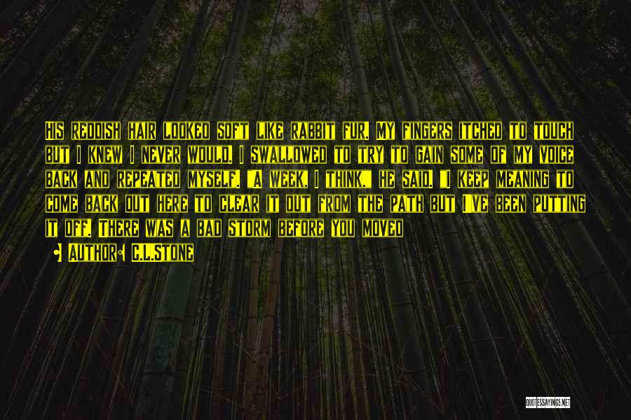 C.L.Stone Quotes: His Reddish Hair Looked Soft Like Rabbit Fur. My Fingers Itched To Touch But I Knew I Never Would. I