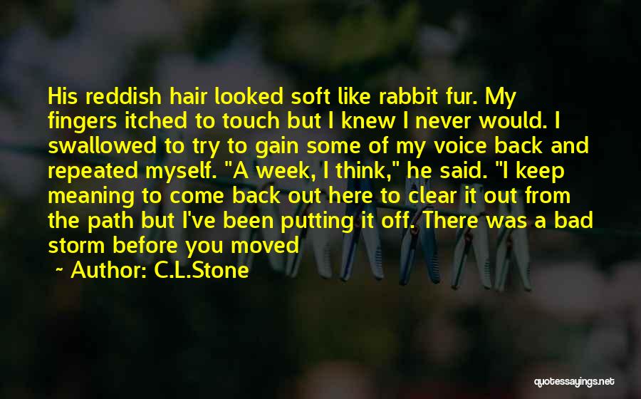 C.L.Stone Quotes: His Reddish Hair Looked Soft Like Rabbit Fur. My Fingers Itched To Touch But I Knew I Never Would. I