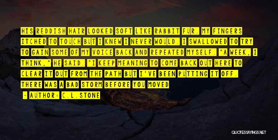 C.L.Stone Quotes: His Reddish Hair Looked Soft Like Rabbit Fur. My Fingers Itched To Touch But I Knew I Never Would. I