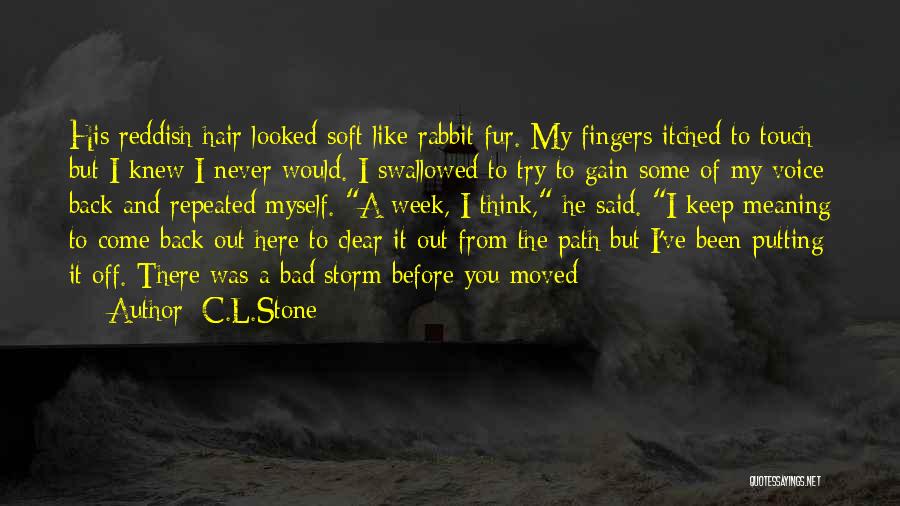 C.L.Stone Quotes: His Reddish Hair Looked Soft Like Rabbit Fur. My Fingers Itched To Touch But I Knew I Never Would. I