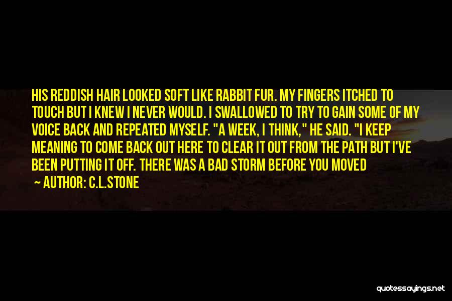 C.L.Stone Quotes: His Reddish Hair Looked Soft Like Rabbit Fur. My Fingers Itched To Touch But I Knew I Never Would. I