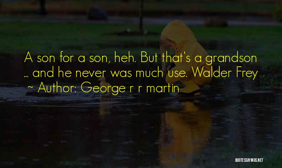 George R R Martin Quotes: A Son For A Son, Heh. But That's A Grandson ... And He Never Was Much Use. Walder Frey
