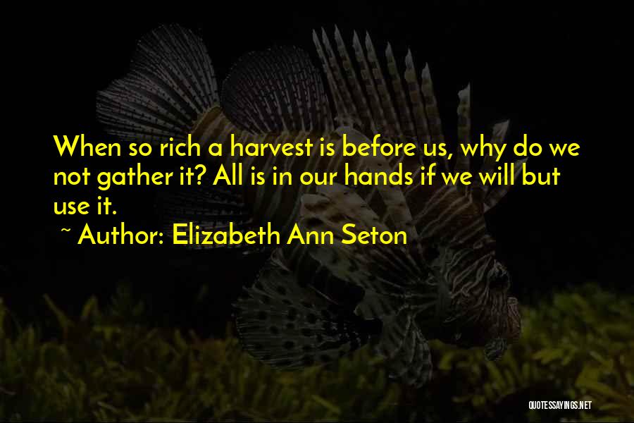 Elizabeth Ann Seton Quotes: When So Rich A Harvest Is Before Us, Why Do We Not Gather It? All Is In Our Hands If