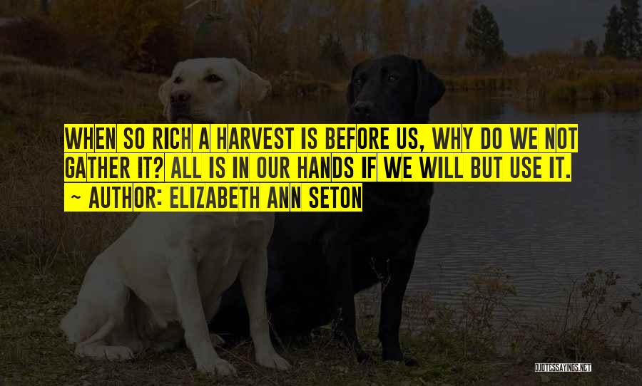 Elizabeth Ann Seton Quotes: When So Rich A Harvest Is Before Us, Why Do We Not Gather It? All Is In Our Hands If