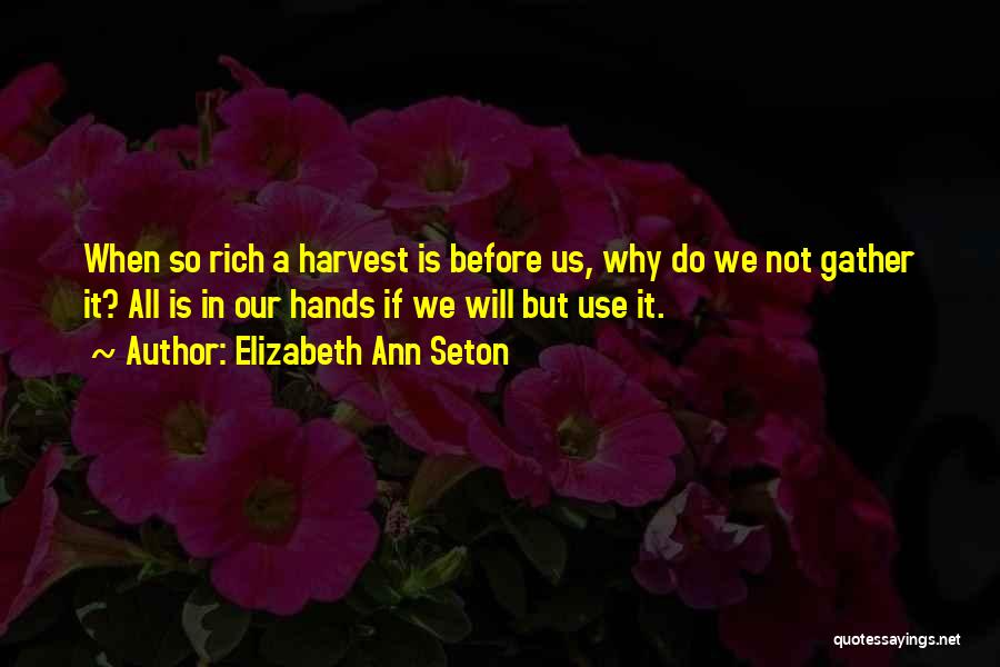 Elizabeth Ann Seton Quotes: When So Rich A Harvest Is Before Us, Why Do We Not Gather It? All Is In Our Hands If