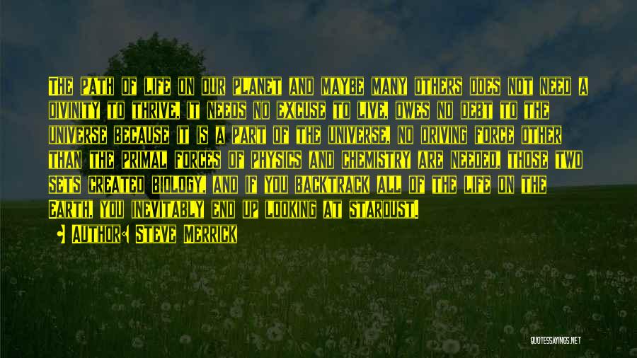 Steve Merrick Quotes: The Path Of Life On Our Planet And Maybe Many Others Does Not Need A Divinity To Thrive, It Needs