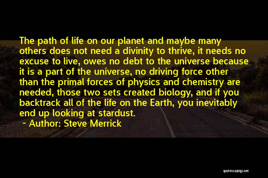 Steve Merrick Quotes: The Path Of Life On Our Planet And Maybe Many Others Does Not Need A Divinity To Thrive, It Needs