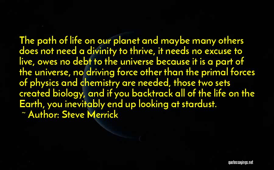 Steve Merrick Quotes: The Path Of Life On Our Planet And Maybe Many Others Does Not Need A Divinity To Thrive, It Needs