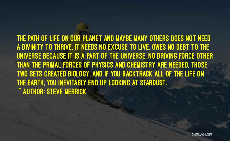 Steve Merrick Quotes: The Path Of Life On Our Planet And Maybe Many Others Does Not Need A Divinity To Thrive, It Needs