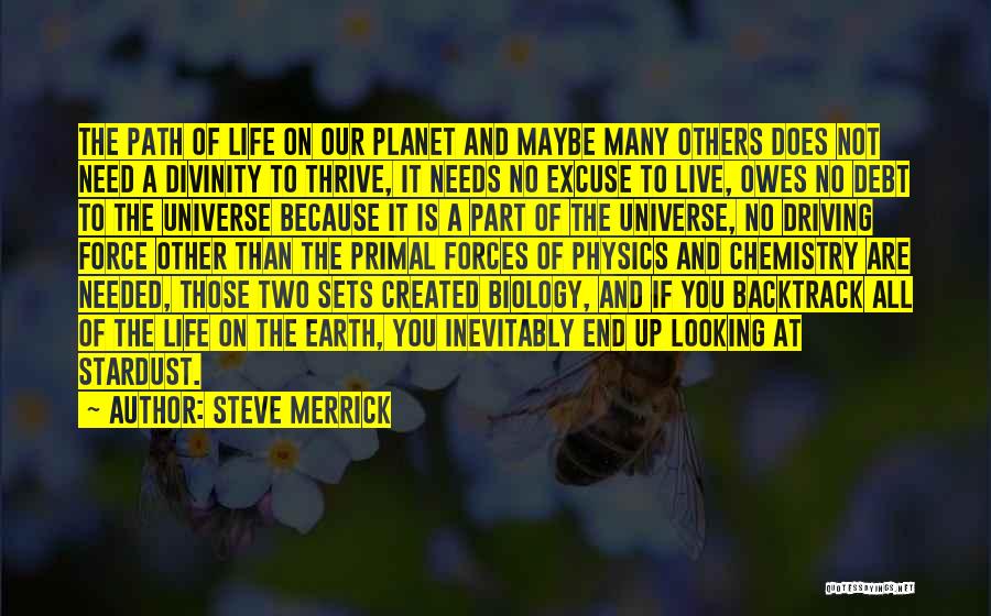Steve Merrick Quotes: The Path Of Life On Our Planet And Maybe Many Others Does Not Need A Divinity To Thrive, It Needs