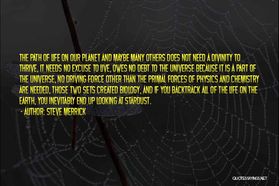 Steve Merrick Quotes: The Path Of Life On Our Planet And Maybe Many Others Does Not Need A Divinity To Thrive, It Needs