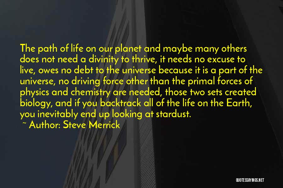 Steve Merrick Quotes: The Path Of Life On Our Planet And Maybe Many Others Does Not Need A Divinity To Thrive, It Needs