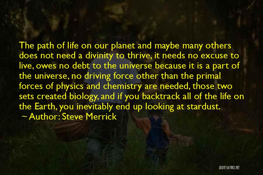 Steve Merrick Quotes: The Path Of Life On Our Planet And Maybe Many Others Does Not Need A Divinity To Thrive, It Needs
