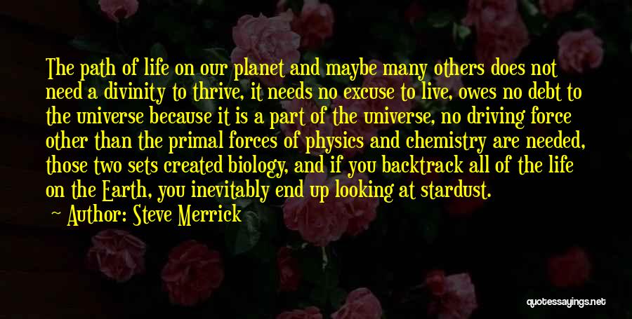 Steve Merrick Quotes: The Path Of Life On Our Planet And Maybe Many Others Does Not Need A Divinity To Thrive, It Needs
