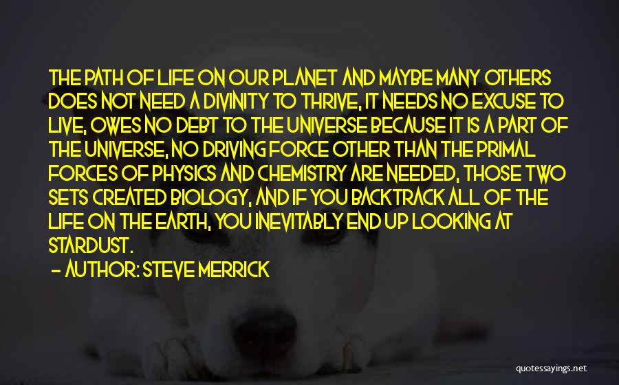 Steve Merrick Quotes: The Path Of Life On Our Planet And Maybe Many Others Does Not Need A Divinity To Thrive, It Needs