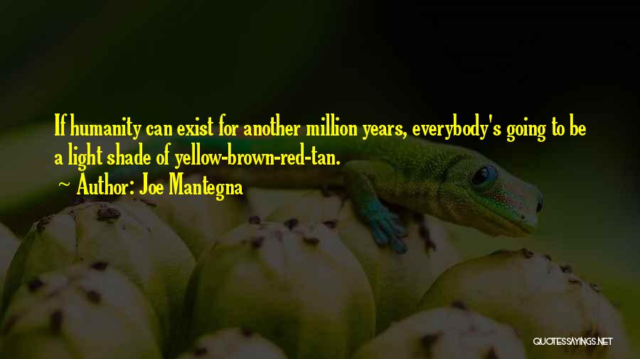 Joe Mantegna Quotes: If Humanity Can Exist For Another Million Years, Everybody's Going To Be A Light Shade Of Yellow-brown-red-tan.